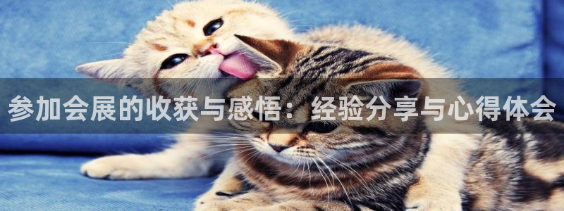果博官网首页：参加会展的收获与感悟：经验分享与心得体会