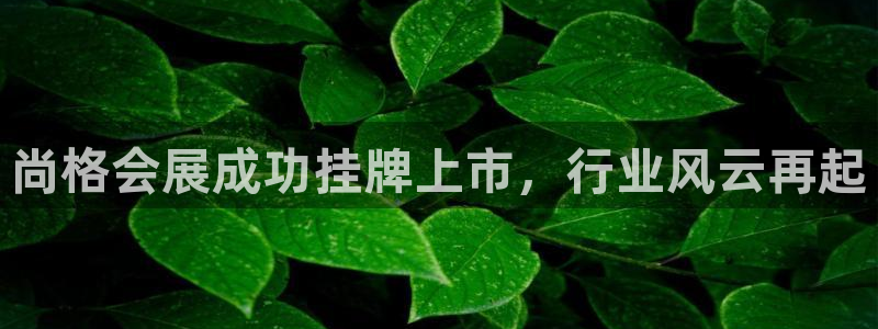 下载果博博东方下载：尚格会展成功挂牌上市，行业风云再起