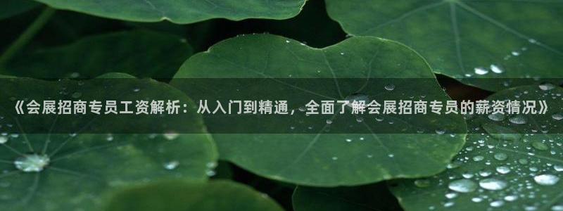 果博代理网