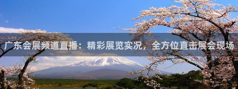 果博平台开户电话：广东会展频道直播：精彩展览实况，全方位直击展会现场