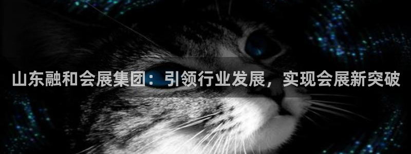 果博注册充值：山东融和会展集团：引领行业发展，实现会展新突破