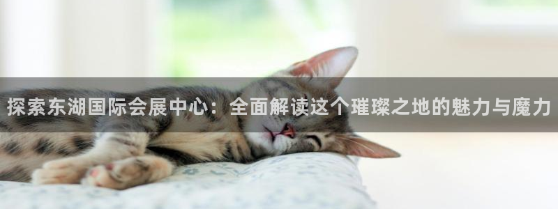 苹果电脑怎么下载伯索：探索东湖国际会展中心：全面解读这个璀璨之地的魅力与魔力