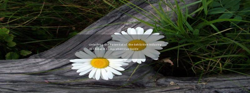 果博公司开户注册：Unlocking the Potential of the Exhibition Industry in China: A Comprehensive Guide