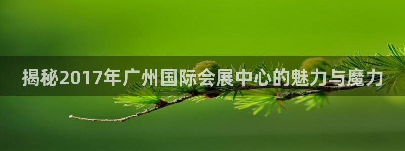 果博官网客服电话号码查询：揭秘2017年广州国际会展中心的魅力与魔力