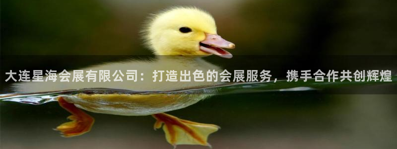 果博平台客服电话：大连星海会展有限公司：打造出色的会展服务，携手合作共创辉煌