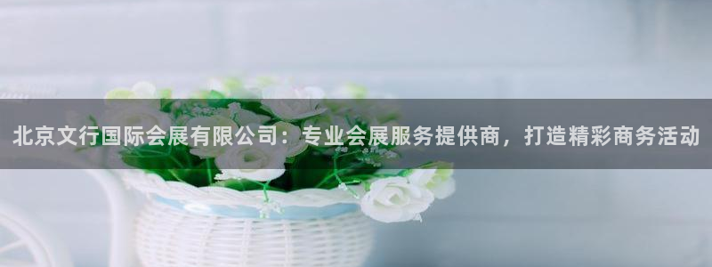 果博注册平台怎么注册账号：北京文行国际会展有限公司：专业会展服务提供商，打造精彩商务活动