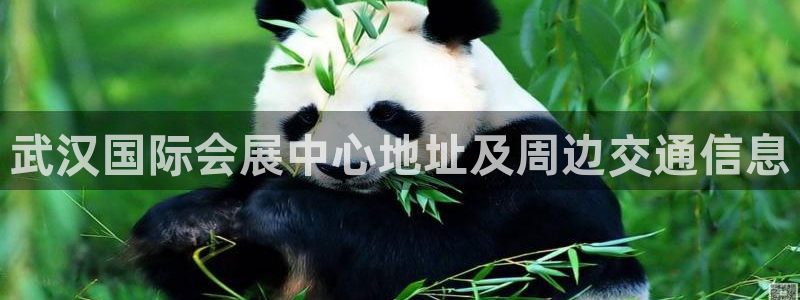 手机怎样下载果博：武汉国际会展中心地址及周边交通信息