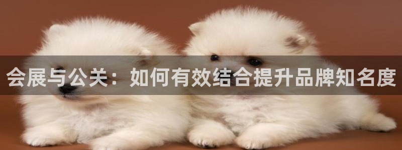 果博环保官网：会展与公关：如何有效结合提升品牌知名度
