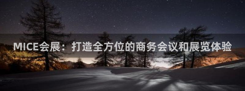 苹果电脑可以下载博易大师吗：MICE会展：打造全方位的商务会议和展览体验