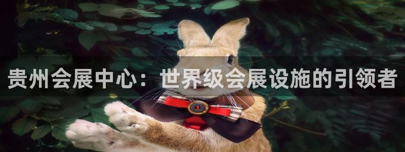 果博平台真实吗安全吗：贵州会展中心：世界级会展设施的引领者