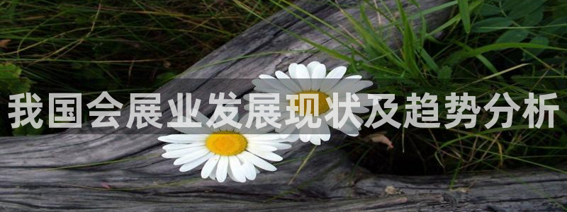 果博代理怎么注册：我国会展业发展现状及趋势分析
