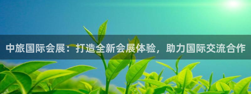 果博公司客服微信公众号：中旅国际会展：打造全新会展体验，助力国际交流合作