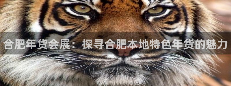 果博公司：合肥年货会展：探寻合肥本地特色年货的魅力