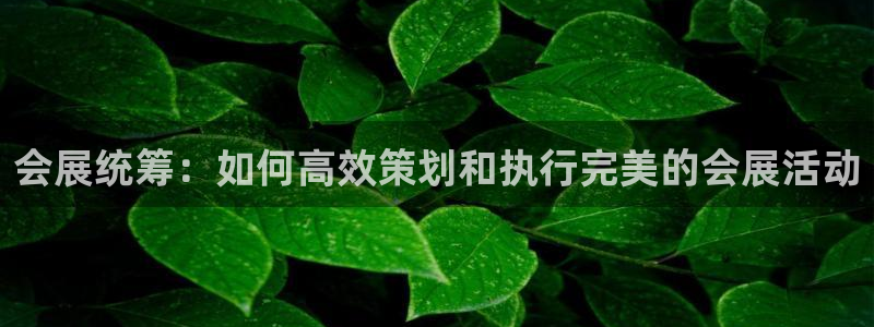 果博注册会员维wckk389：会展统筹：如何高效策划和执行完美的会展活动