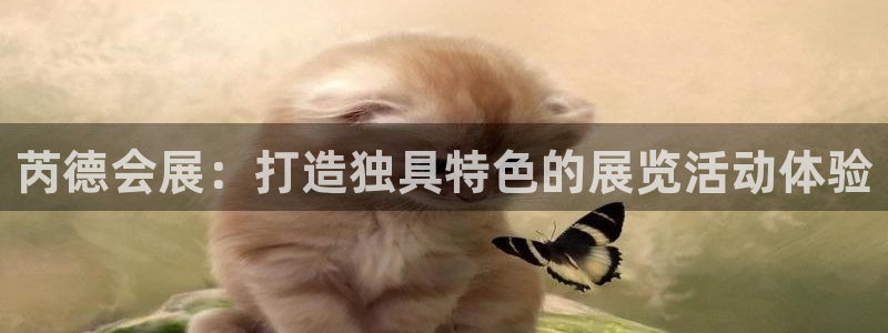 果博官方网：芮德会展：打造独具特色的展览活动体验