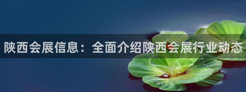 果博客服电话：陕西会展信息：全面介绍陕西会展行业动态