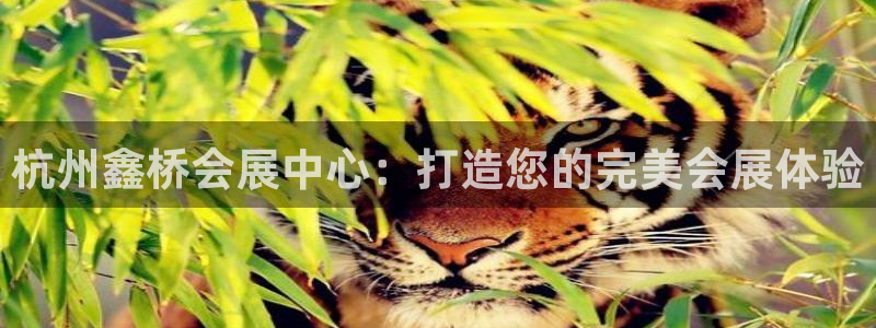 果博注册平台怎么注册账号
