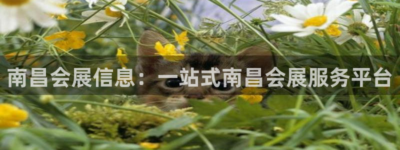 果博公司客服