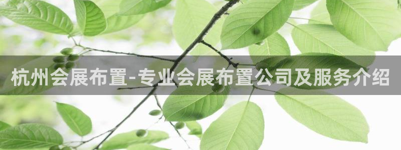 果博平台开户电话是多少
