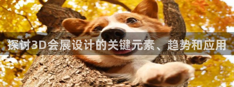 果博网站二维码