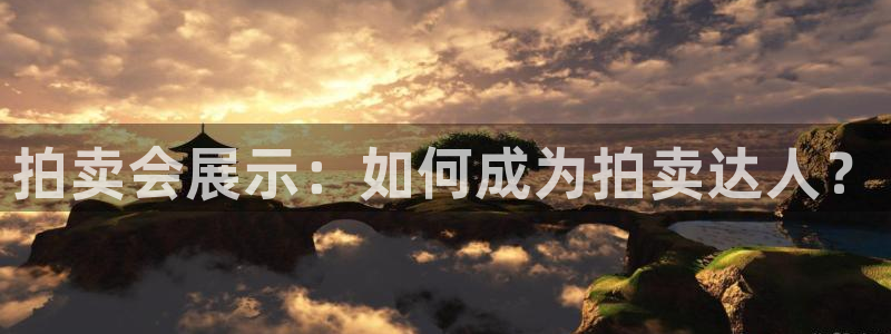 苹果电脑怎么下载伯索：拍卖会展示：如何成为拍卖达人？