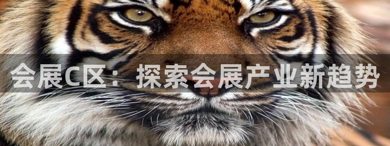 果博公司电话