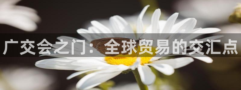 下载果博博东方下载