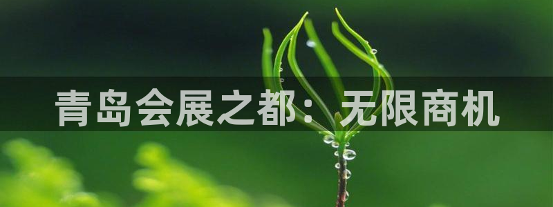 果博上分电话