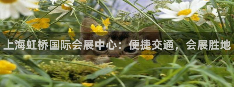 果博官网客服