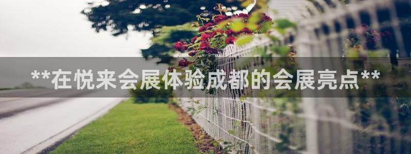 果博公司直属会员开户