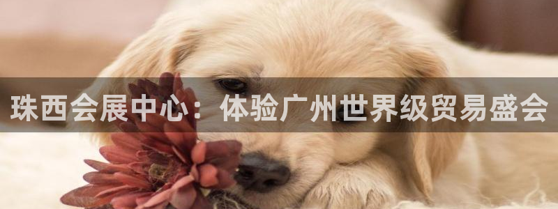 果博代理电话多少号码
