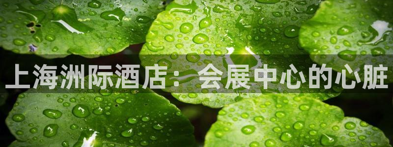 果博公司直属会员开户