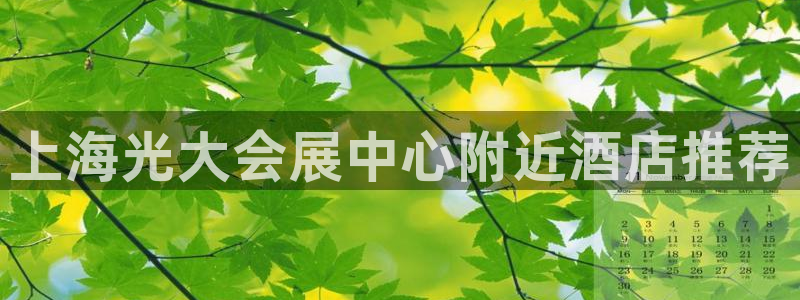 果博公司会员怎么开户