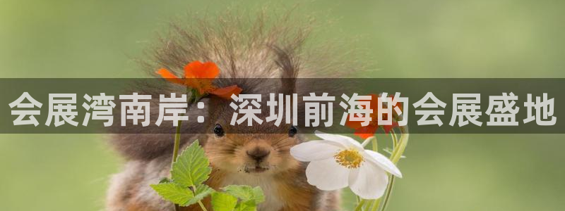 果博平台开户电话是多少