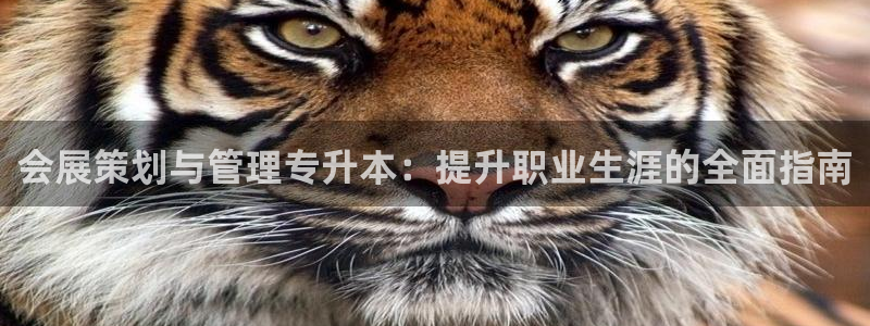 苹果电脑怎么下载博弈大师等软件：会展策划与管理专升本：提升职业生涯的全面指南