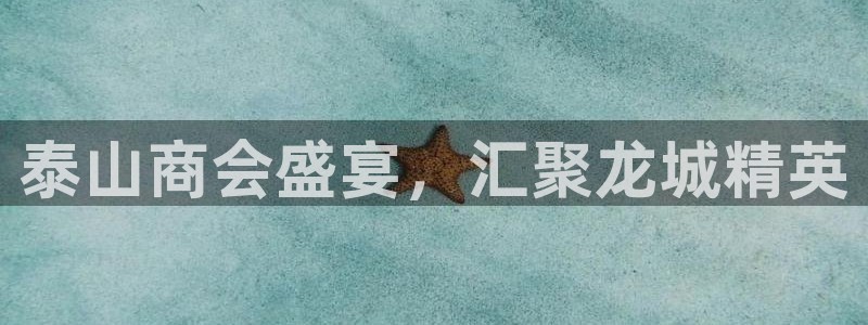 果博注册电话：泰山商会盛宴，汇聚龙城精英