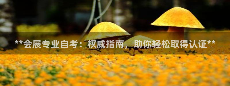 果博注册平台：**会展专业自考：权威指南，助你轻松取得认证**