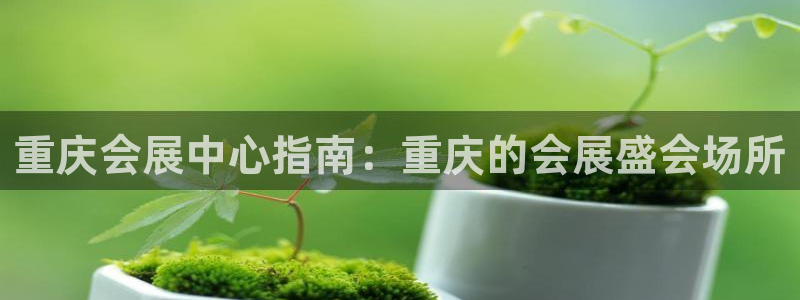 果博注册平台：重庆会展中心指南：重庆的会展盛会场所