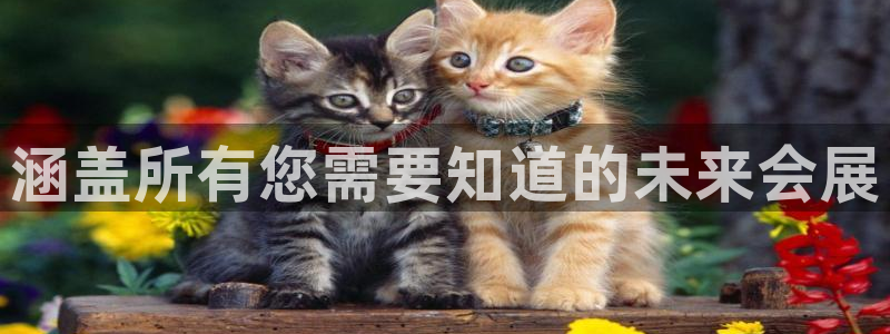 果博服务电话：涵盖所有您需要知道的未来会展