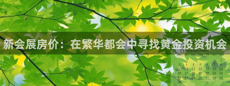 果博公司会员注册：新会展房价：在繁华都会中寻找黄金投资机会