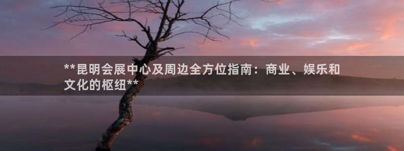 果博官网首页：**昆明会展中心及周边全方位指南：商业、娱乐和
文化的枢纽**