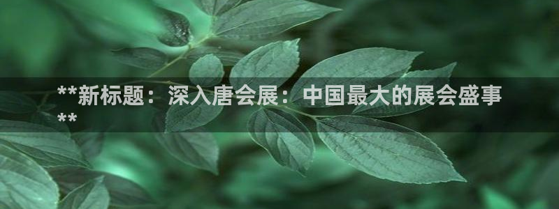 果博平台真实吗知乎：**新标题：深入唐会展：中国最大的展会盛事
**