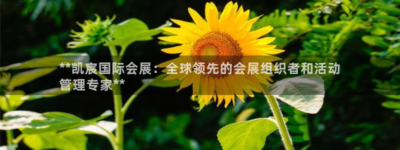 果博账号注册要钱吗：**凯宸国际会展：全球领先的会展组织者和活动
管理专家**