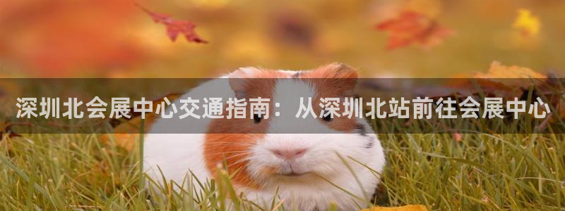 果博公司客服：深圳北会展中心交通指南：从深圳北站前往会展中心