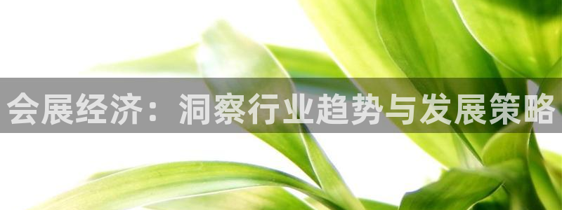 果博平台真实吗知乎推荐：会展经济：洞察行业趋势与发展策略