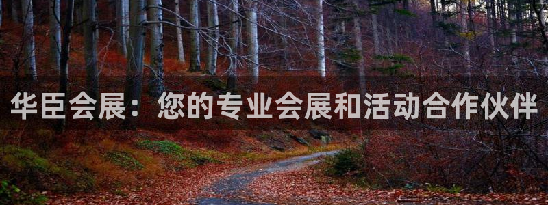 果博平台客服：华臣会展：您的专业会展和活动合作伙伴