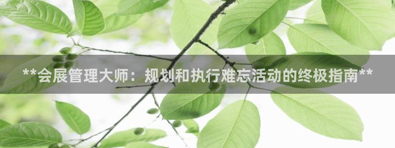 果博怎么注册账号和密码：**会展管理大师：规划和执行难忘活动的终极指南**