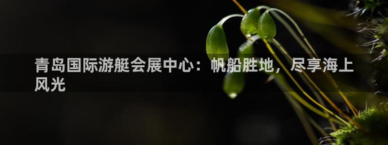 果博注册会员维wckk389：青岛国际游艇会展中心：帆船胜地，尽享海上
风光