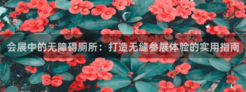 果博注册客服电话号码查询：会展中的无障碍厕所：打造无缝参展体验的实用指南