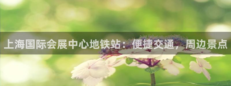 果博客服电话哪里找啊：上海国际会展中心地